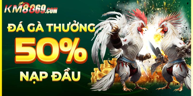 Khuyến mãi độc quyền chỉ có tại sảnh đá gà KM88