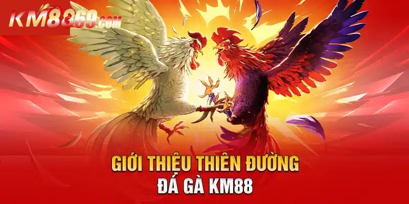 Sơ lược về sảnh đá gà KM88