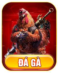 Đá gà km88