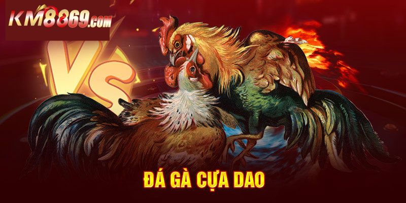 Các giống kê trong đá gà cựa dao